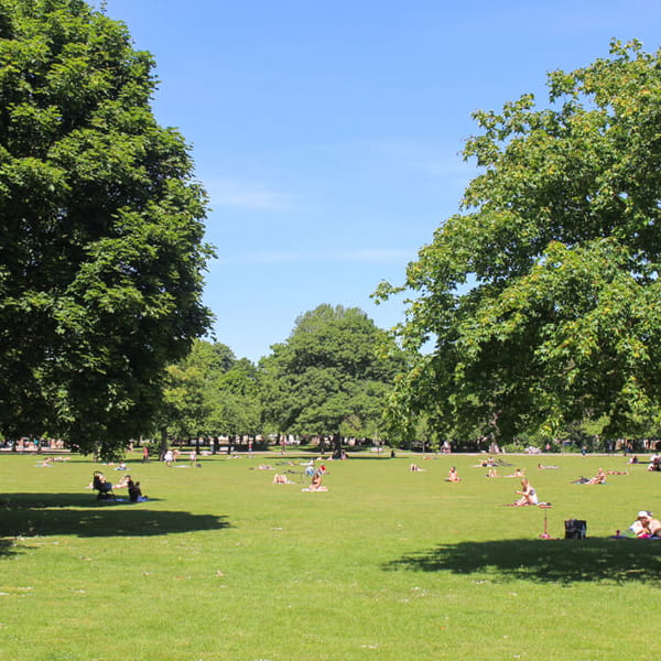 Sunny Green Park London