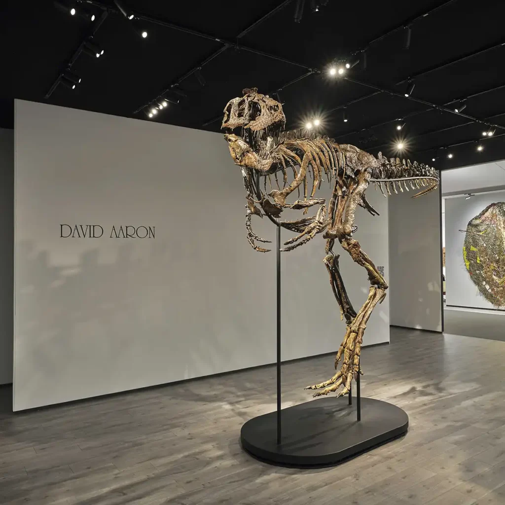 David Aaron Gallery