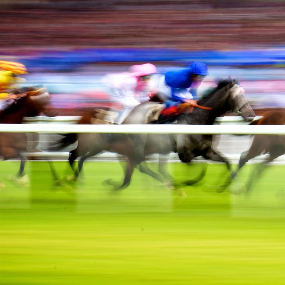 Why Do Rich People Love to Bet on Horse Racing?
