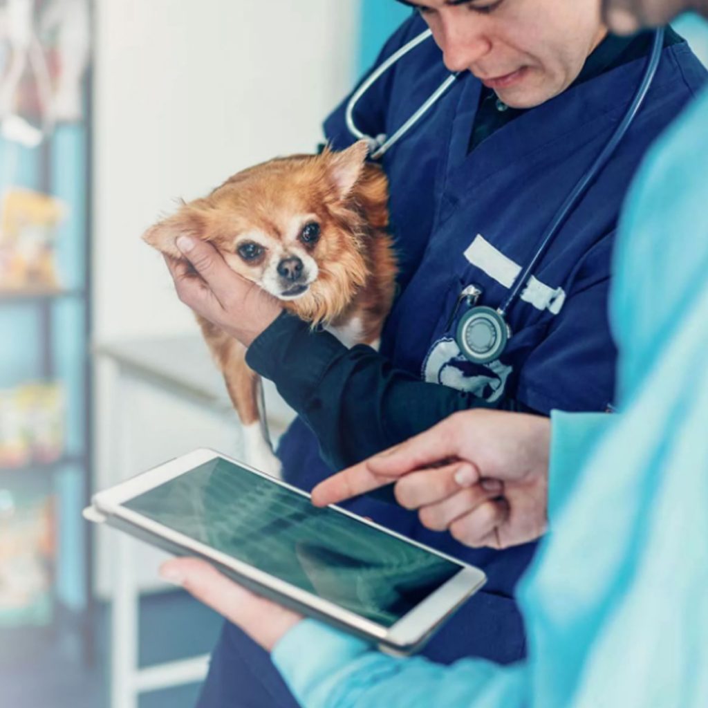 Veterinary Medicine in the Digital Age: Prospects and Obstacles.