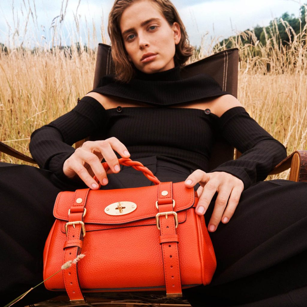 Mulberry Collection
