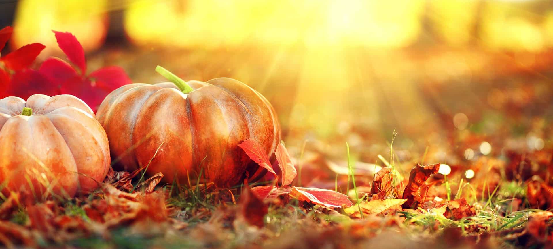 Get Beautiful and pamper yourself in Mayfair