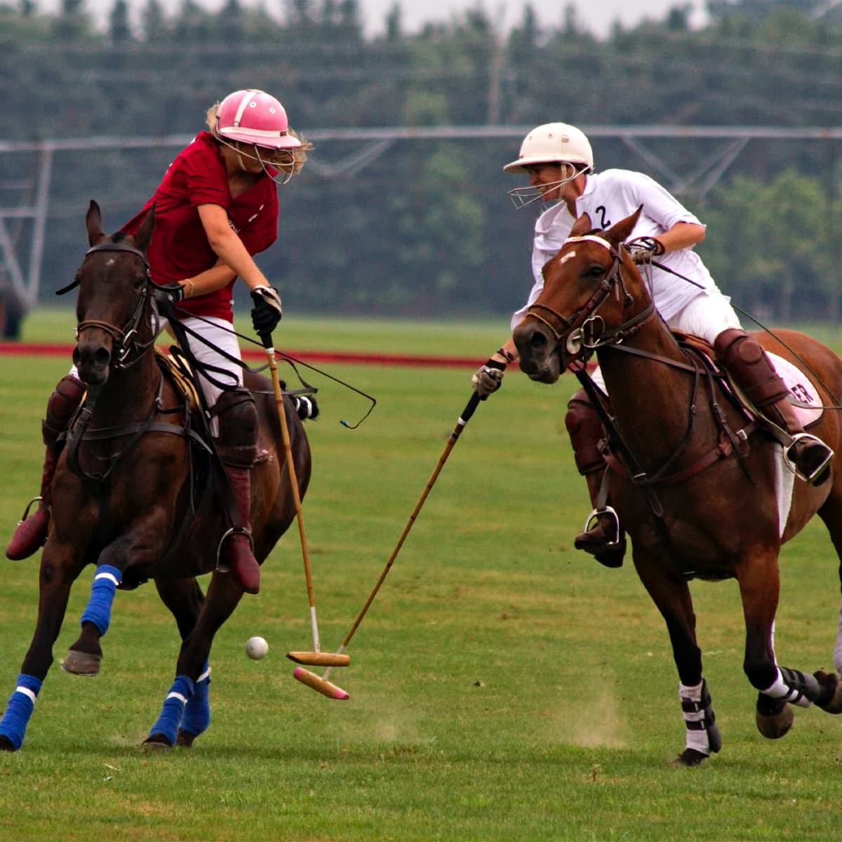 Exclusive Sports For The Luxury Sports Bettor