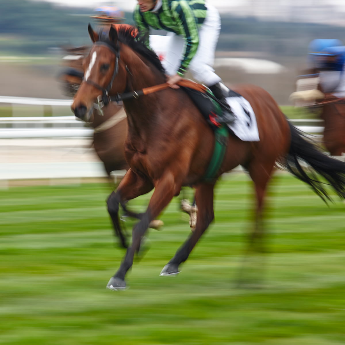 How Mayfair’s Elite Approach Horse Racing