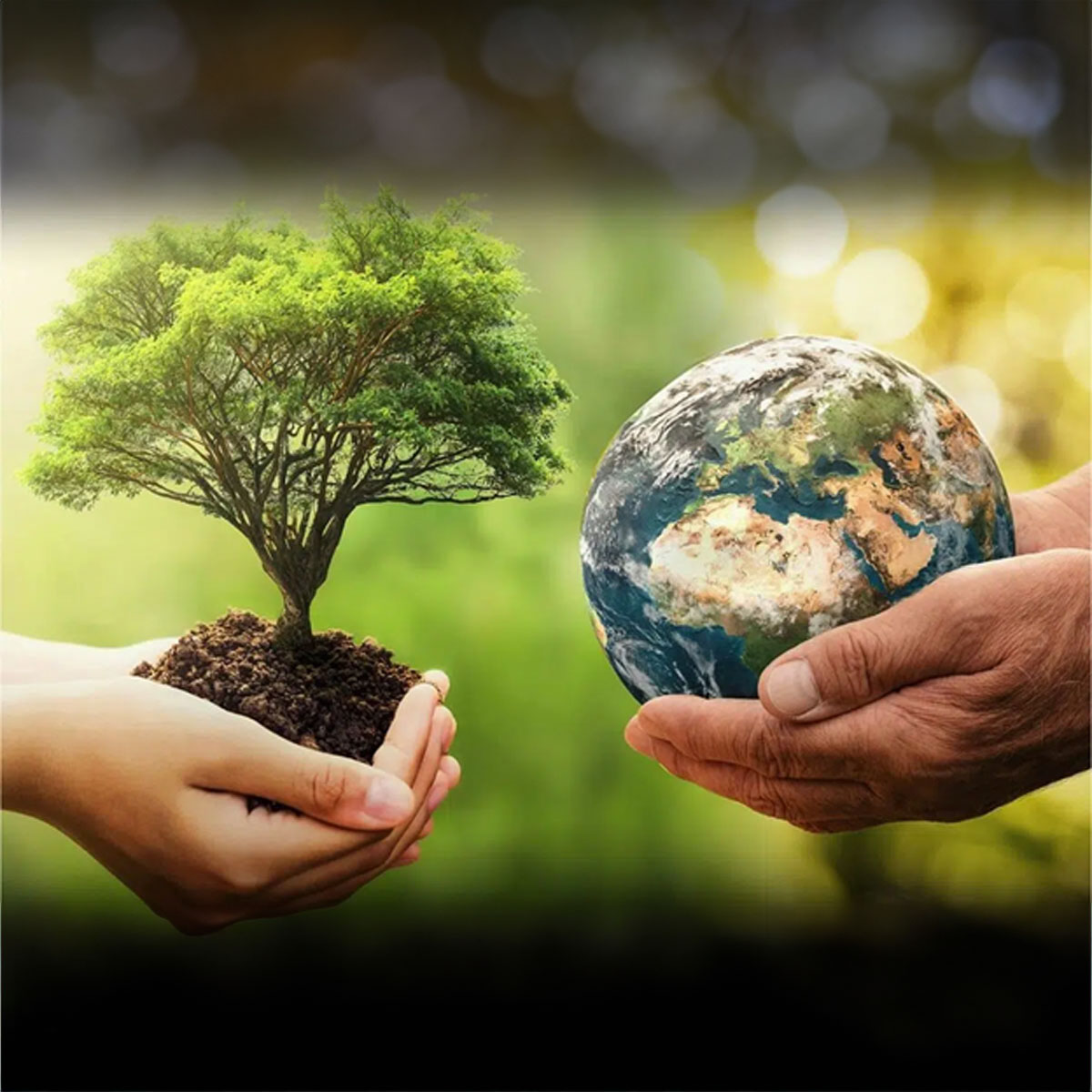 Celebrating Earth Day: A Global Movement Towards Sustainability