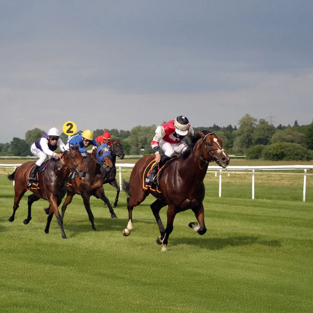 owning a racehorse