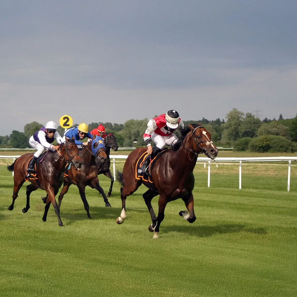 The Best Racing Days Near London