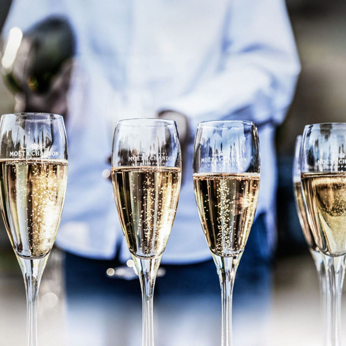 Unlocking Flavour: Wine Basics That Wow