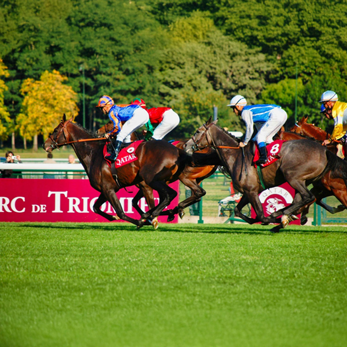 What Makes a Wager Winner? How Mayfair’s Elite Read Between the Lines