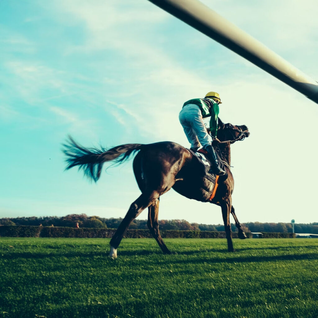 Sports Betting Updates, Informed Betting Strategies, Live Sports News