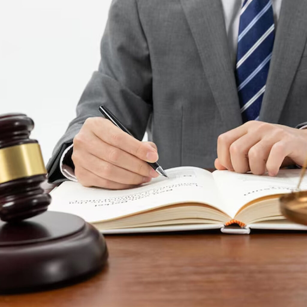 litigation lawyer,small business lawyer , commercial litigation 