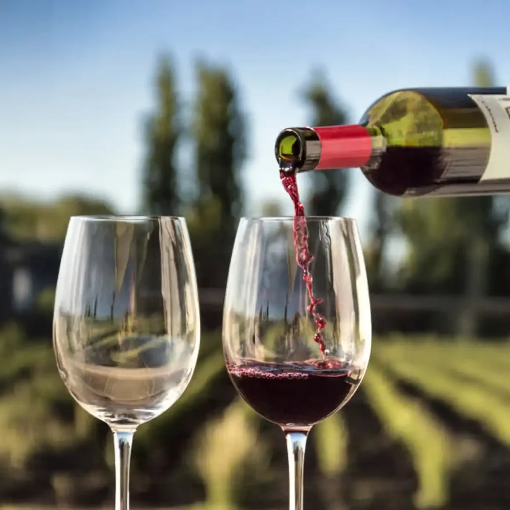 Sustainable Vegan Wines