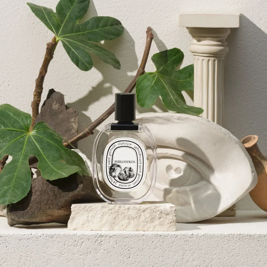 Diptyque fragrance bottle arranged with fig leaves and pale stone forms Diptyque fragrance bottle arranged with fig leaves and pale stone forms