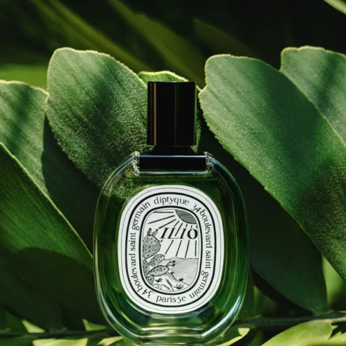 Diptyque
