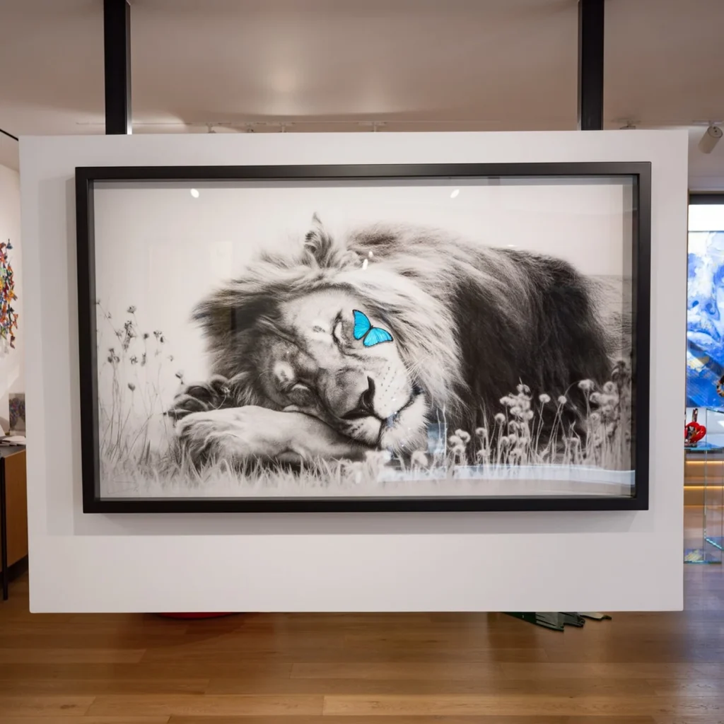 Framed lion artwork hung in the Eden Gallery interior, the contemporary dealer on New Bond Framed lion artwork hung in the Eden Gallery interior, the contemporary dealer on New Bond Street